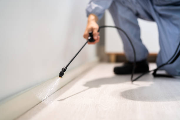 Licensed Termite Control service in Oakdale, LA - Nex Pest Control