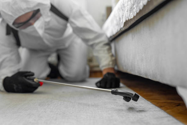 Professional Termite Control technician working in Oakdale, LA