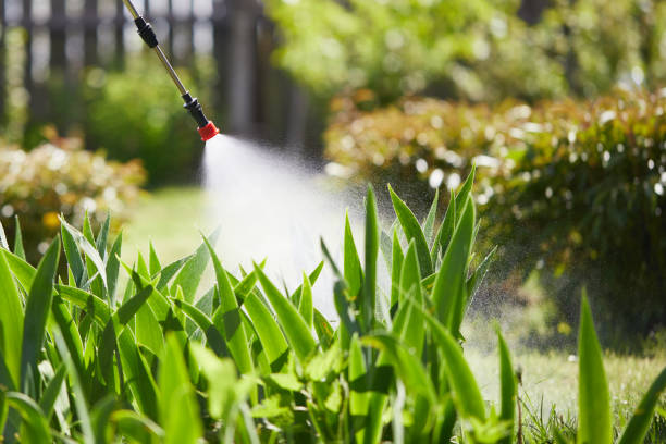 24/7 Emergency Termite Control experts in Oakdale, LA