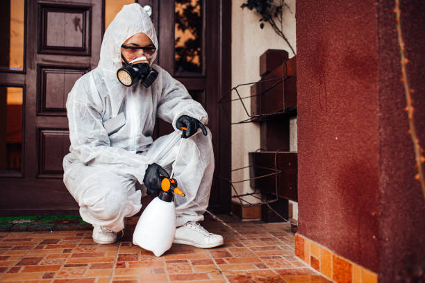 Reliable Termite Control contractor in Oakdale, LA by Nex Pest Control