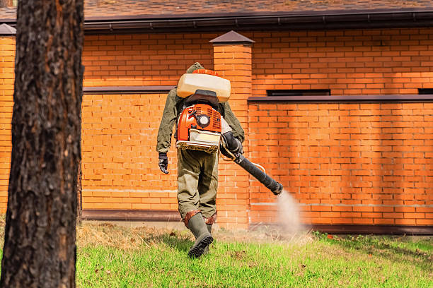 Top rated local Termite Control specialists in Oakdale, LA